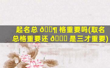 起名总 🐶 格重要吗(取名总格重要还 🐅 是三才重要)